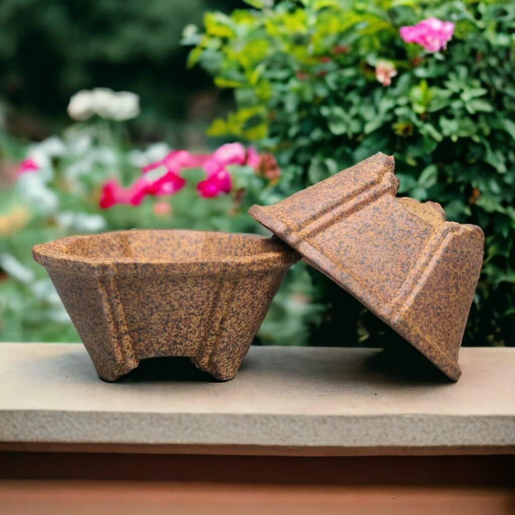 Chau trong cay bonsai mini Gom Duc Huy v1