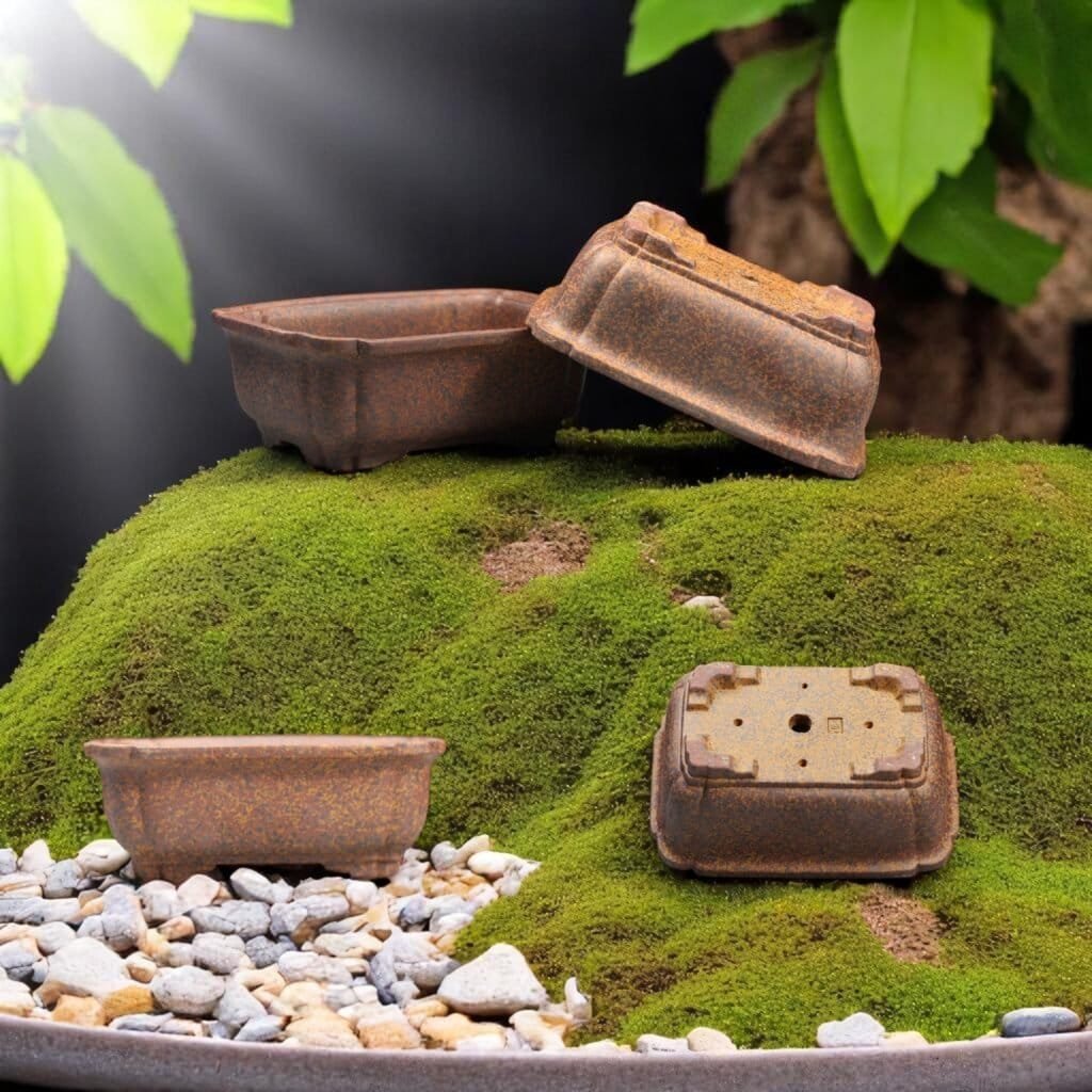 Chậu cây bonsai Gốm Đức Huy