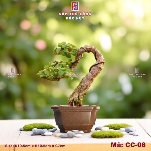 Chậu bonsai mini vuông bo góc – men hạt 3D - Mã CC-08 - Hình ảnh 2