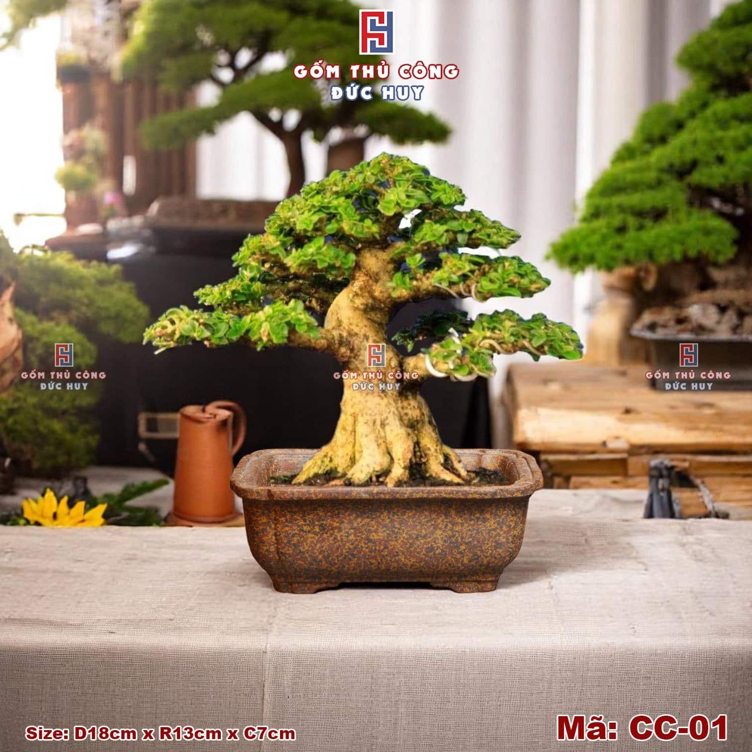 Chậu bonsai mini dáng chữ nhật men hạt 3D - Mã CC-01 14 Chậu trồng cây bonsai mini - dáng chữ nhật bo góc - Mã CC01