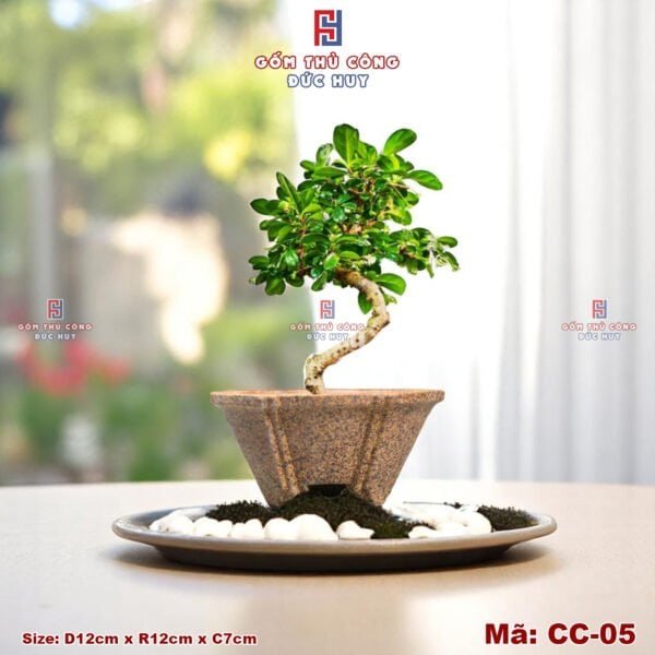 Chậu bonsai dáng phỏng cổ – men hạt 3D - Mã CC-05 - Hình ảnh 3